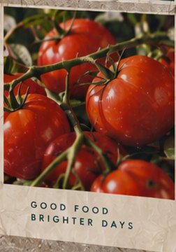 Poster: vine tomatoes &mdash; Good Food Brighter Days
